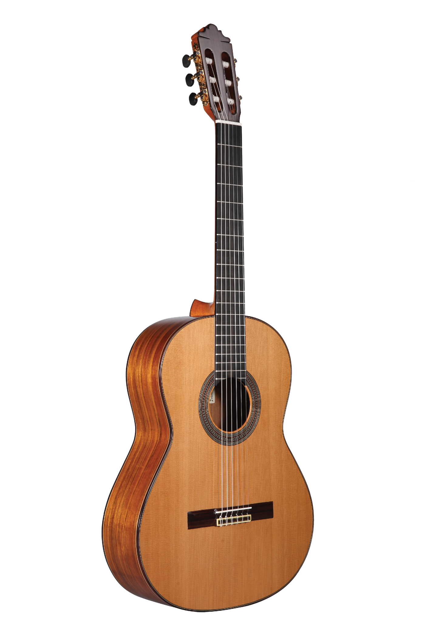 N500 – Altamira Guitars N500 – Altamira Guitars