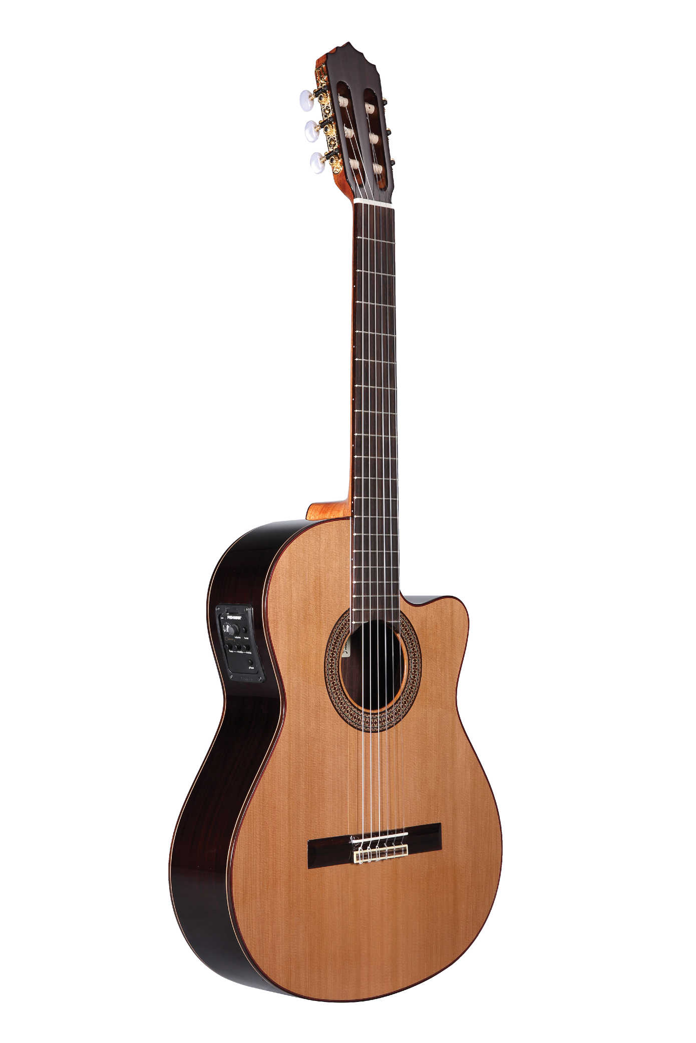 Cutaway / Pickup