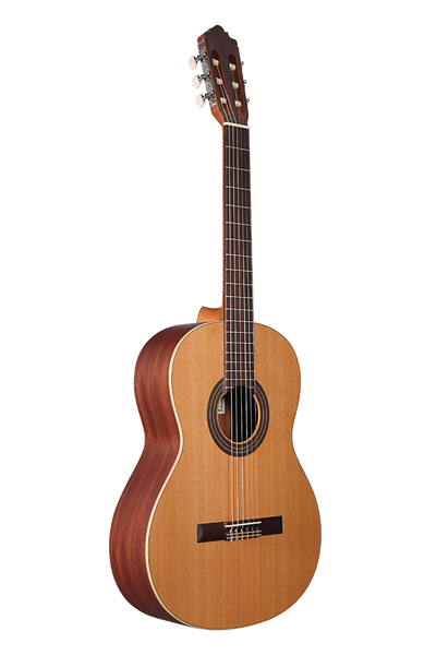 楽器 ALTAMIRA GUITAR MOD BASICO Basico – Altamira Guitars