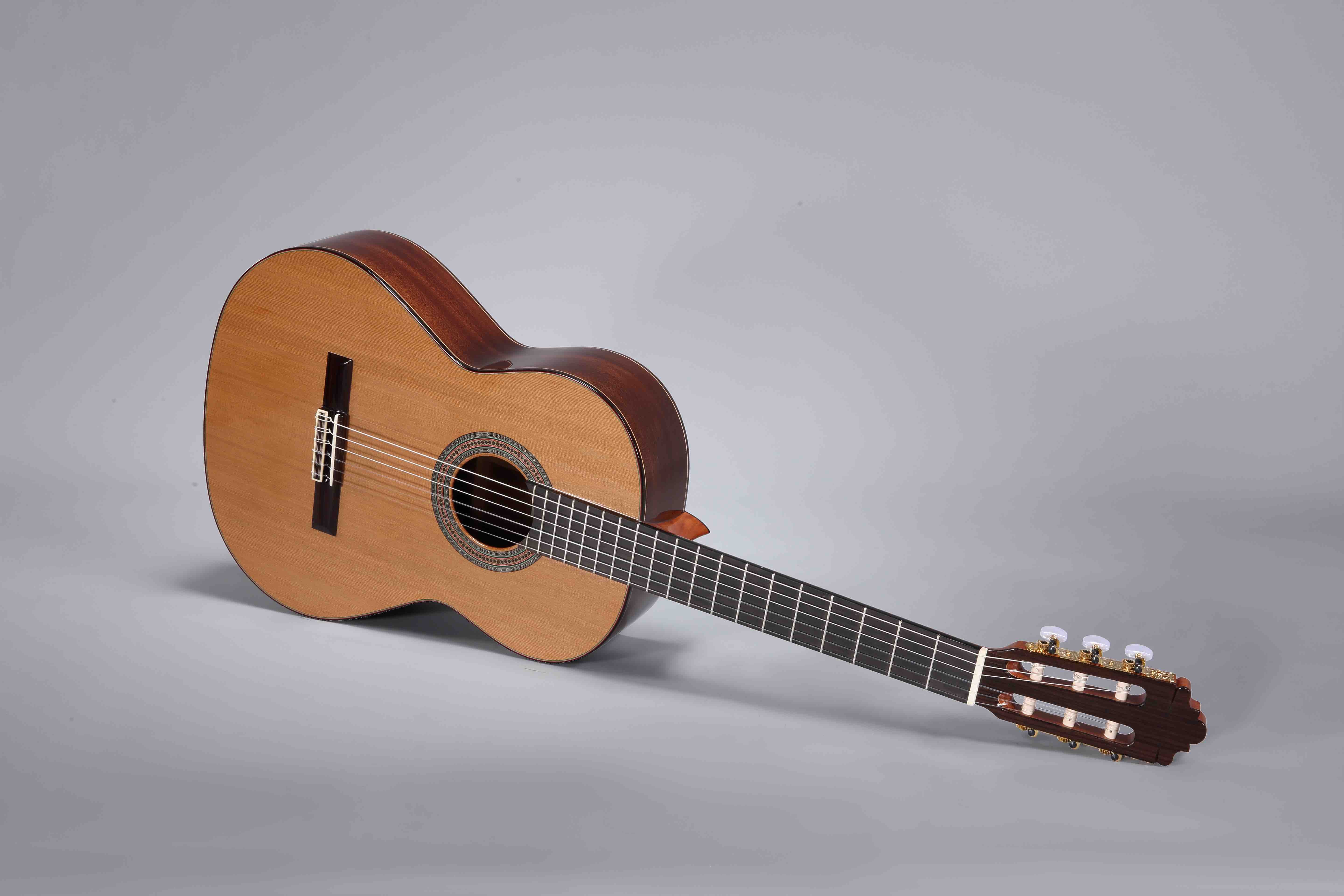 N400 – Altamira Guitars
