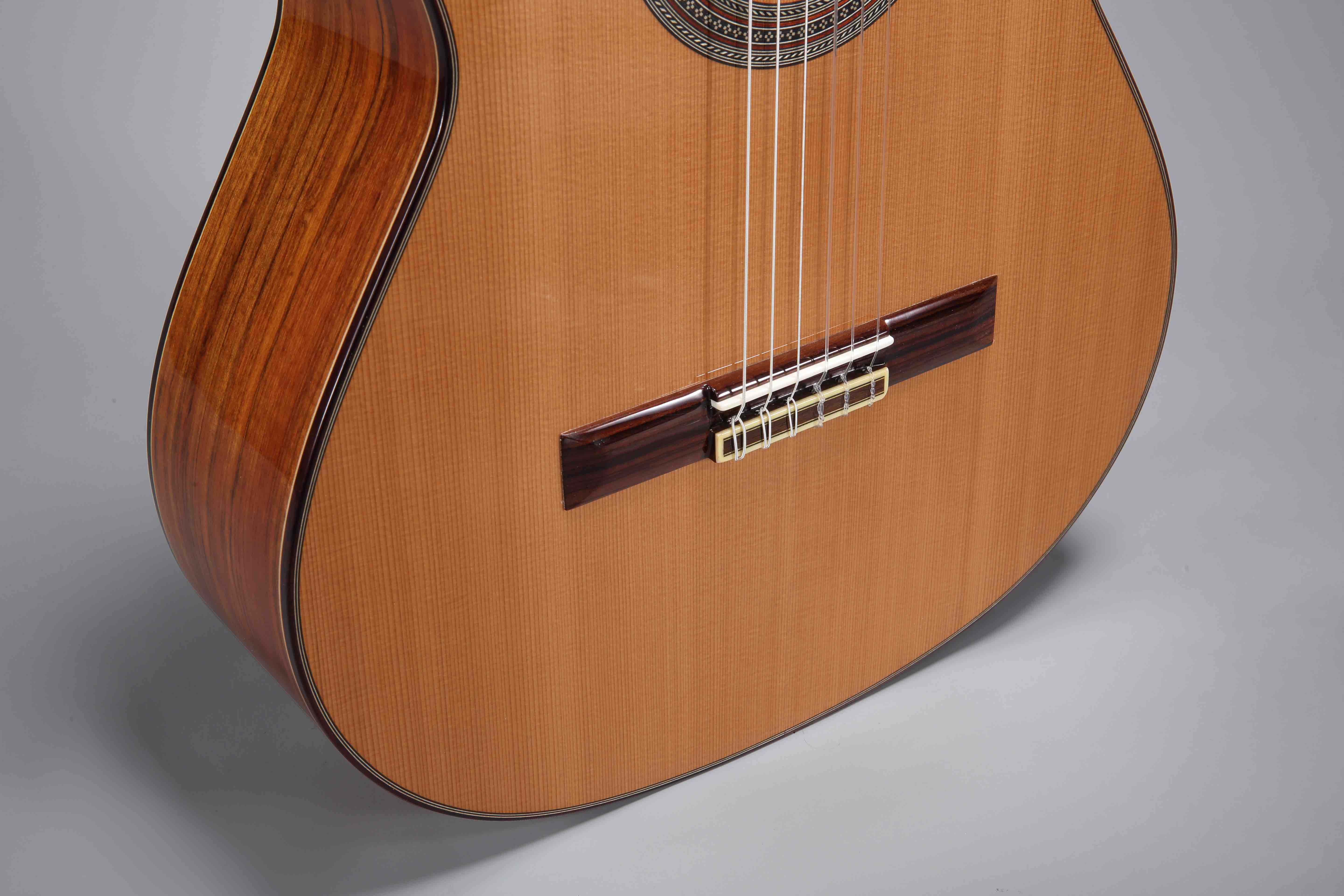N500 – Altamira Guitars